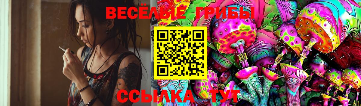 Псилоцибиновые грибы Cubensis Казань